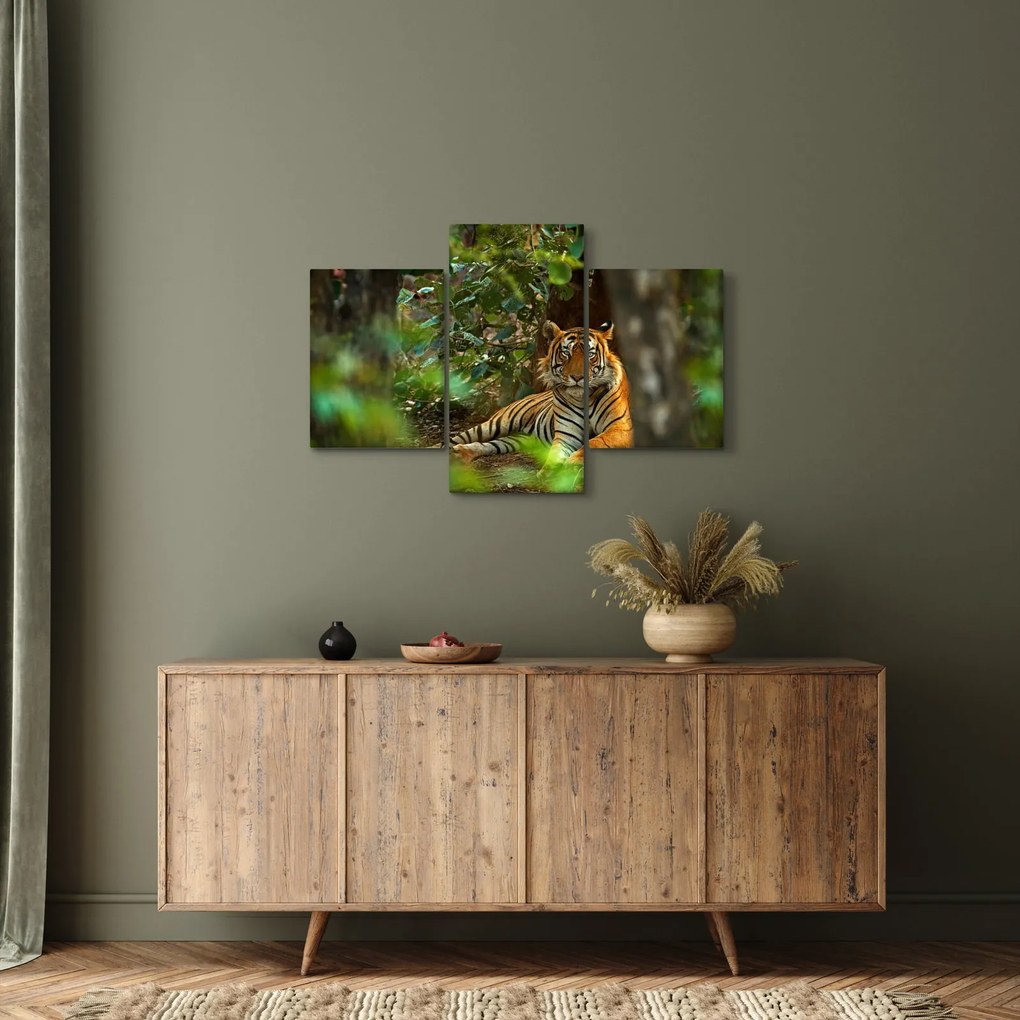 Obraz odpočívajúceho tigra (90x60 cm)
