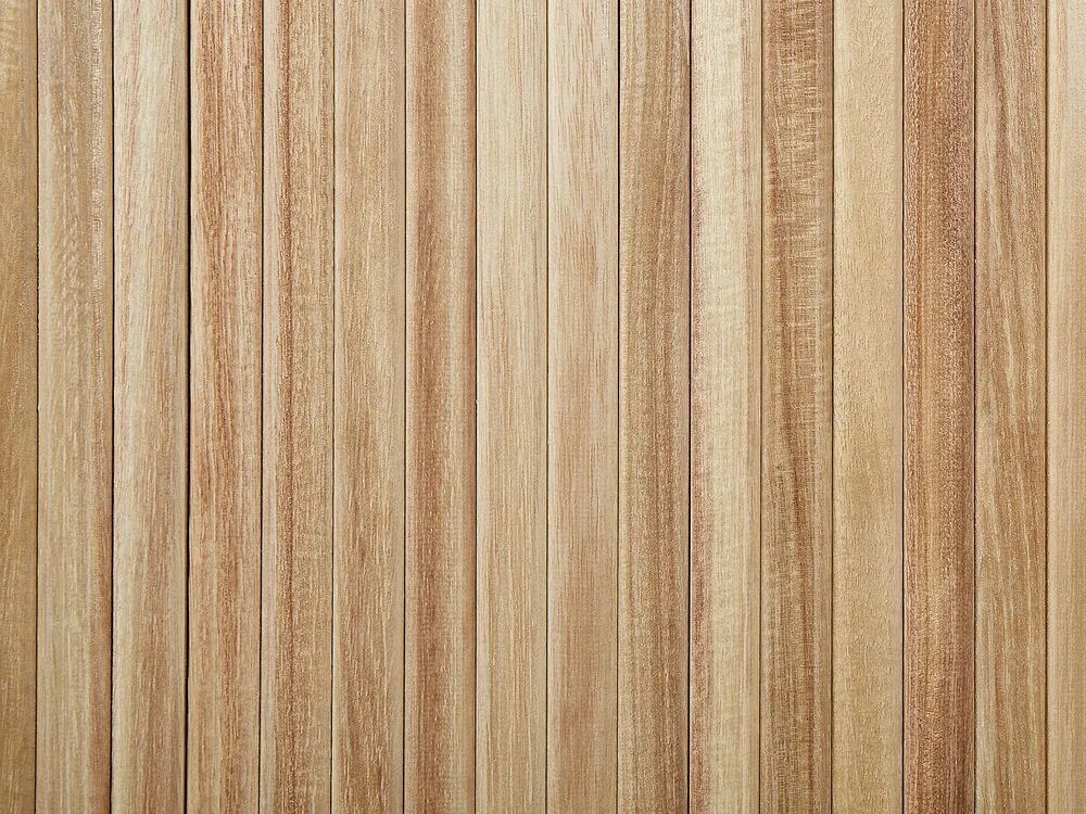 Drevená 2-dverová komoda svetlé drevo/čierna CARNEY Beliani