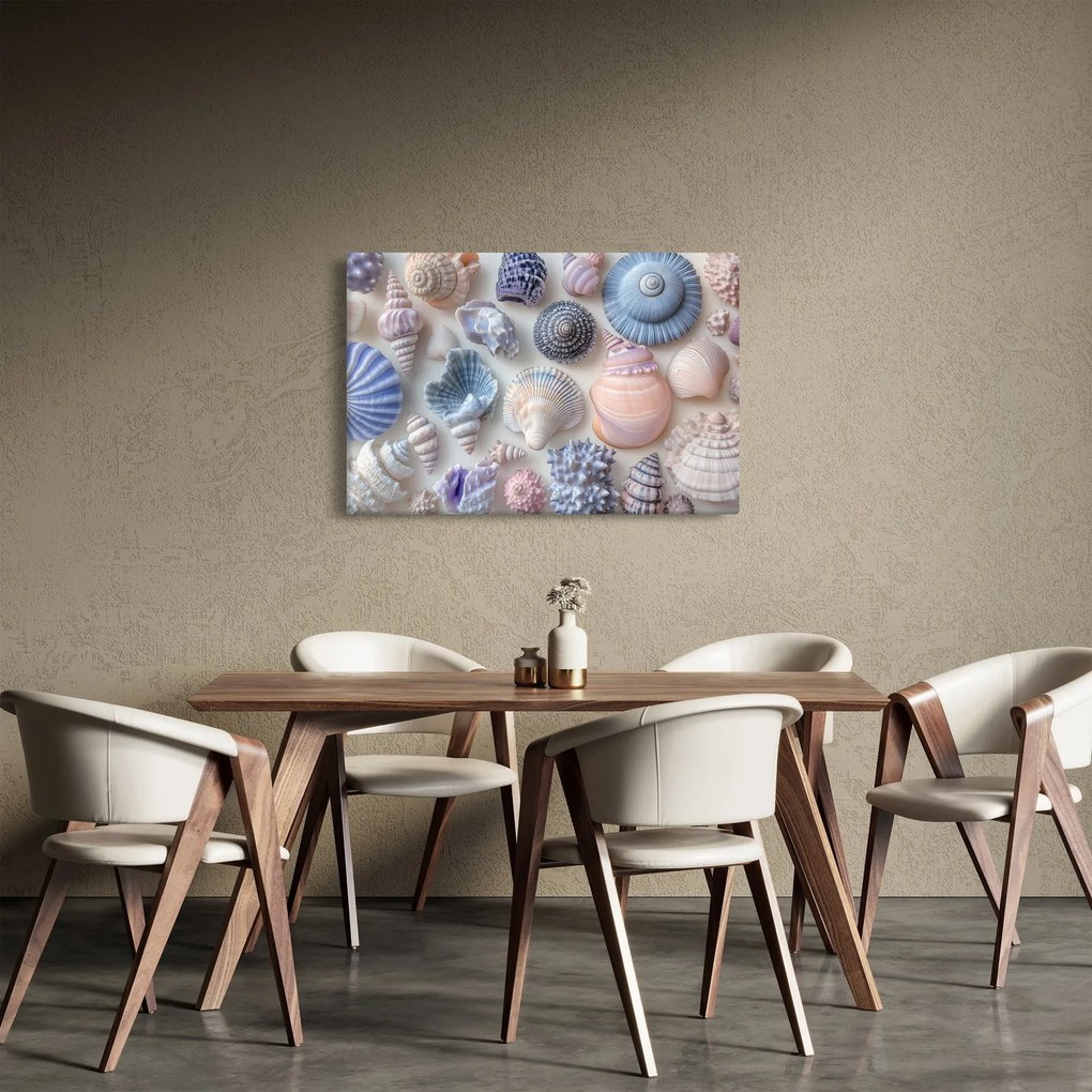 Obraz - Zbierka mušlí (90x60 cm)
