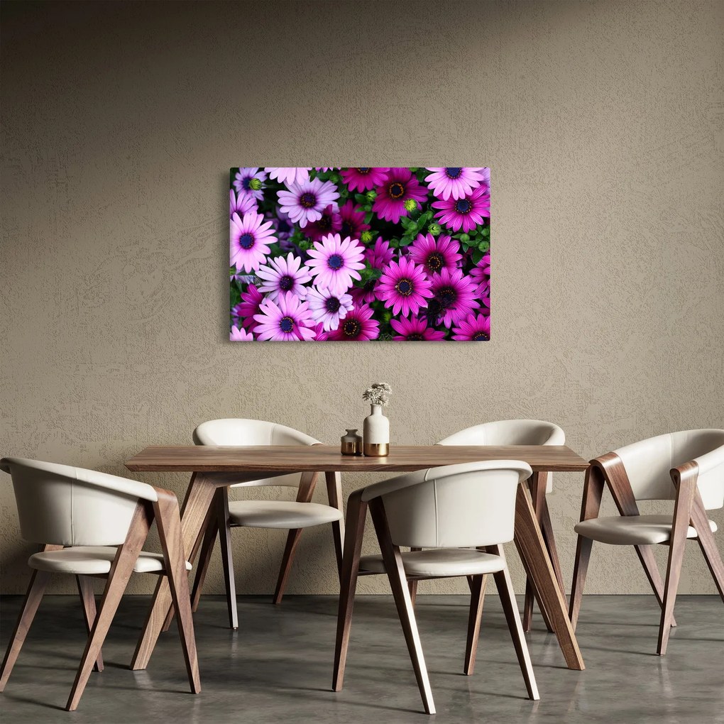 Obraz - Kvety (90x60 cm)