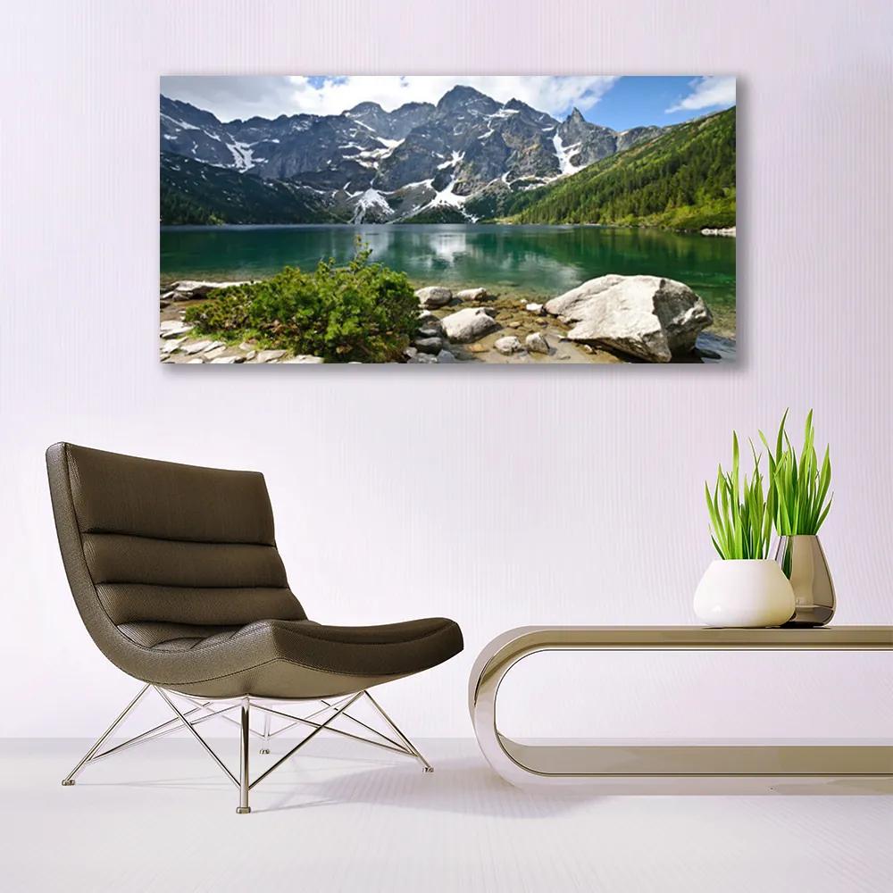 Obraz plexi Jazero hory príroda 120x60 cm