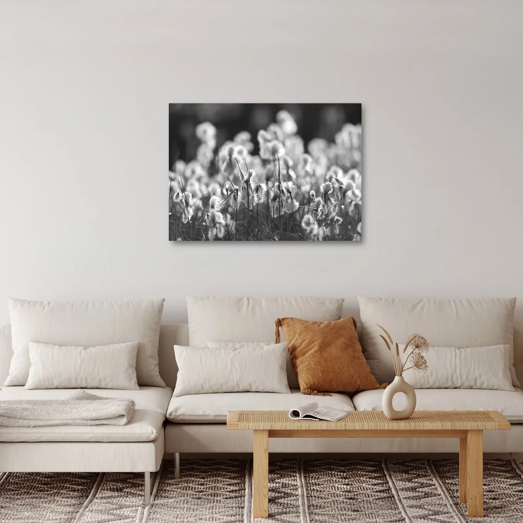 Obraz - Letná lúka (70x50 cm)