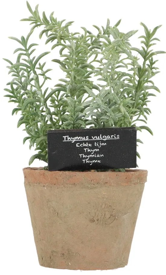 Umelá rastlina (výška 21,5 cm) Thyme – Esschert Design