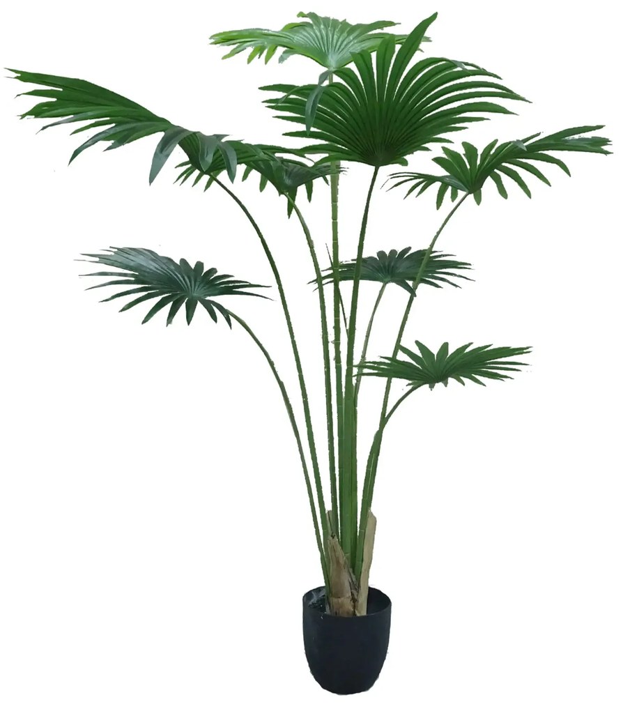 Artificial plant Washingtonia Robusta 2 200cm