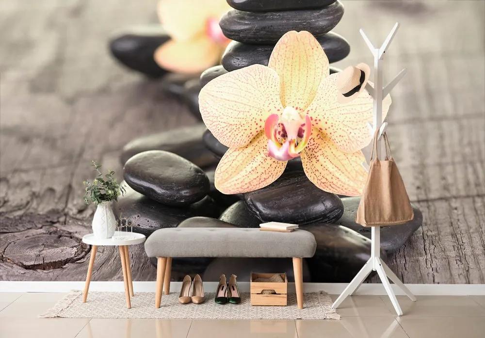 Fototapeta krásna orchidea so zen kameňmi