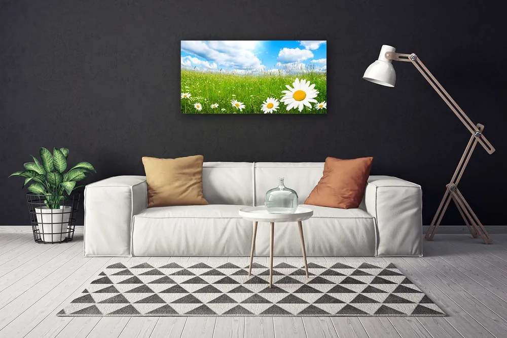 Obraz na plátne Sedmokráska tráva príroda 140x70 cm