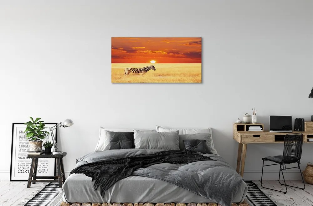 Obraz na plátne Zebra poľa sunset 125x50 cm