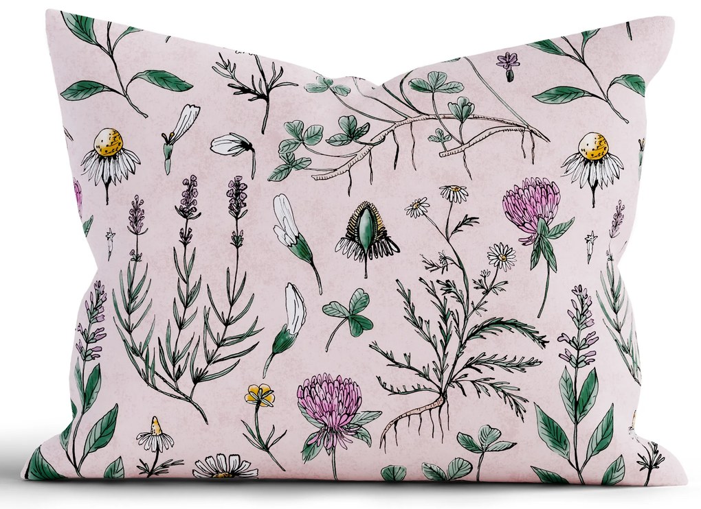 Bavlnená obliečka na vankúš Renforcé 70 × 90 cm - Herbár púdrový