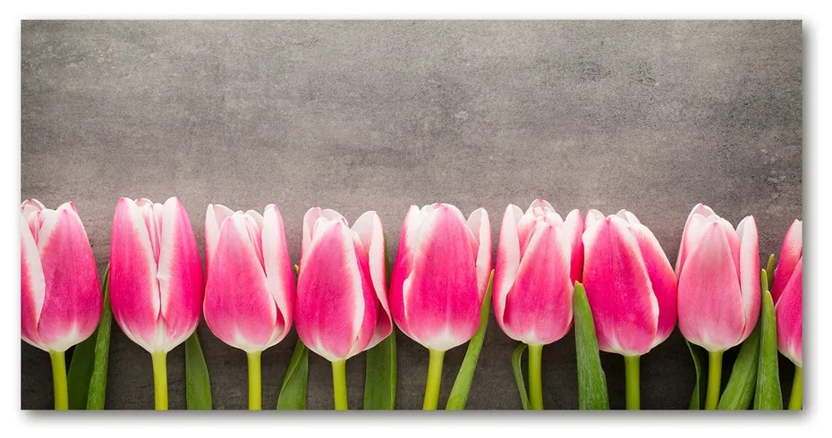 Foto obraz akrylový na stenu Ružové tulipány pl-oa-140x70-f-102142486