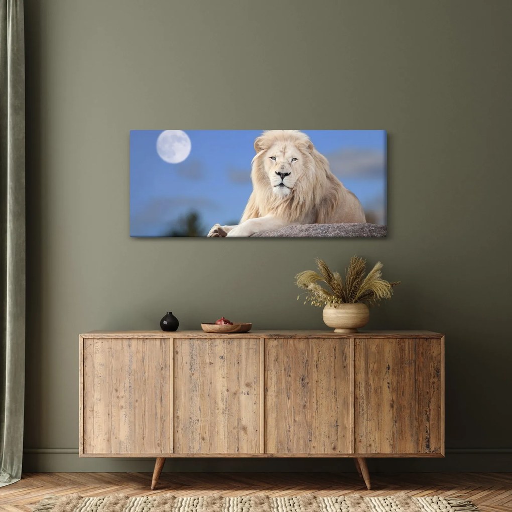 Obraz - Biely lev (120x50 cm)