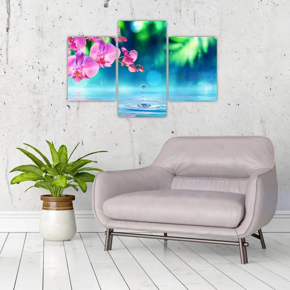 Obraz - Orchidea (90x60 cm)