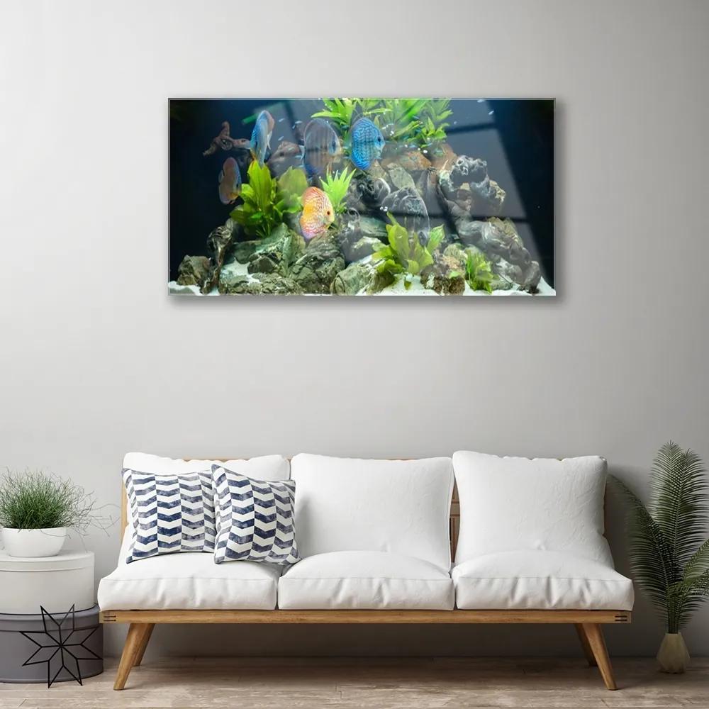 Skleneny obraz Ryba kamene listy príroda 125x50 cm