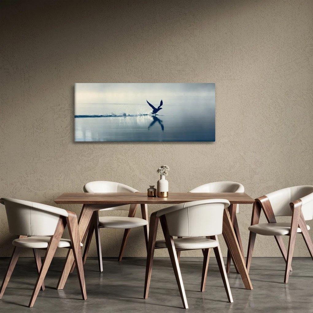 Obraz - Potáplica (120x50 cm)