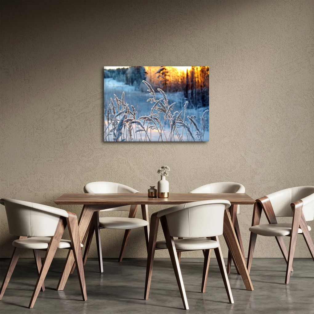 Obraz - Zimná lúka (70x50 cm)