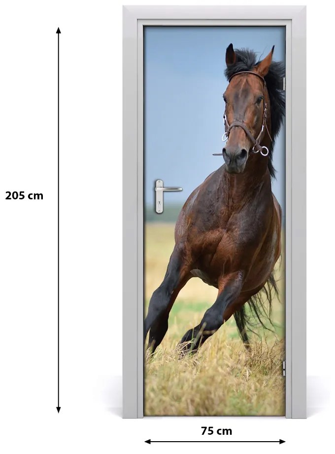 Samolepiace fototapety na dvere Kôň na poli 75x205 cm