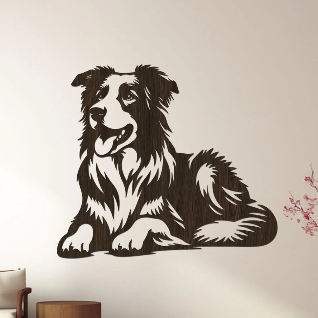 dřevo života Drevený obraz psa BORDER COLLIE Rozmery - cm: 60x51, Zvoľte farbu dekoru: Dub Sonoma