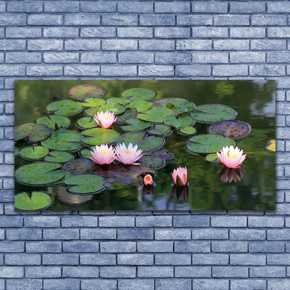 Obraz plexi Vodné lilie rybník príroda 120x60 cm