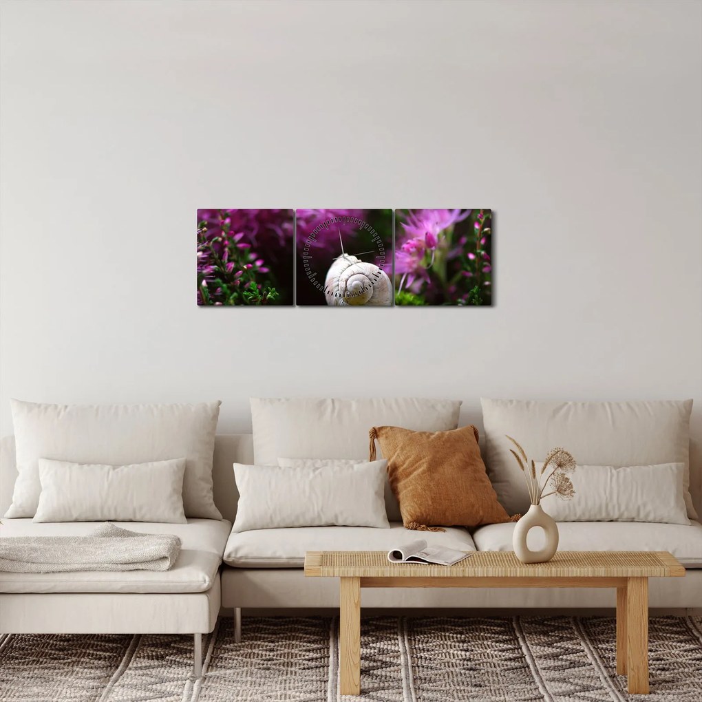 Obraz - Slimáková ulita (s hodinami) (90x30 cm)