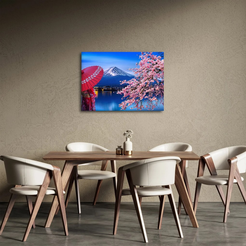 Obraz - Výhľad na vrchol, Japonsko (70x50 cm)