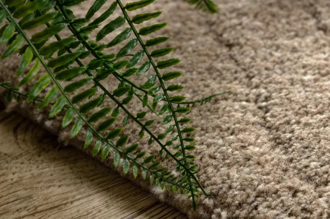Koberec DUNE WOOL 497 03 TM620 hnedý