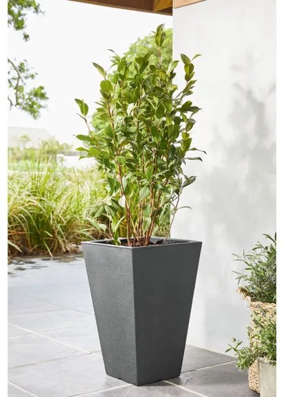 LIVARNO home Hranatý kvetináč, 55 cm (bridlica) (100343824)