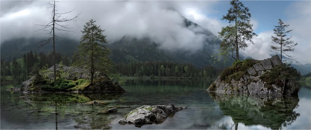 Obraz stromov v jazere (120x50 cm)
