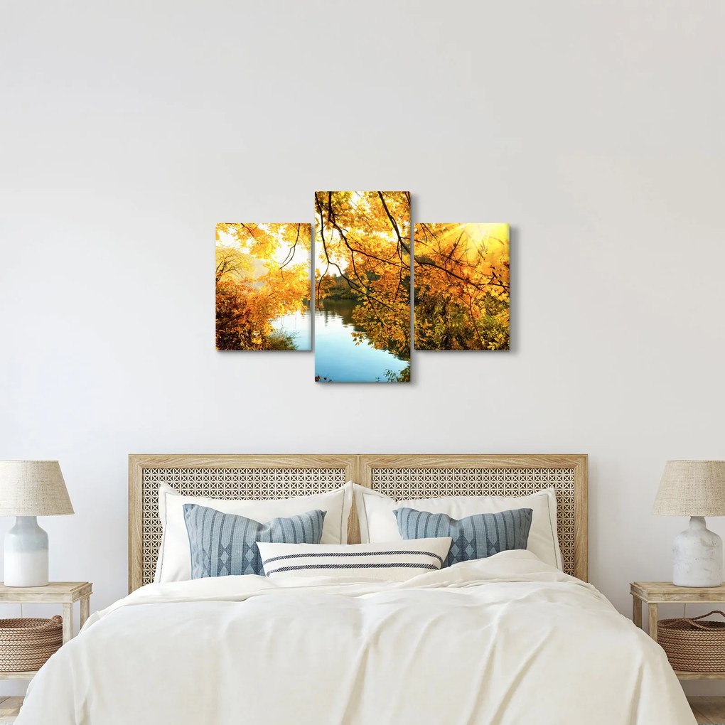 Obraz - Jesenný strom (90x60 cm)