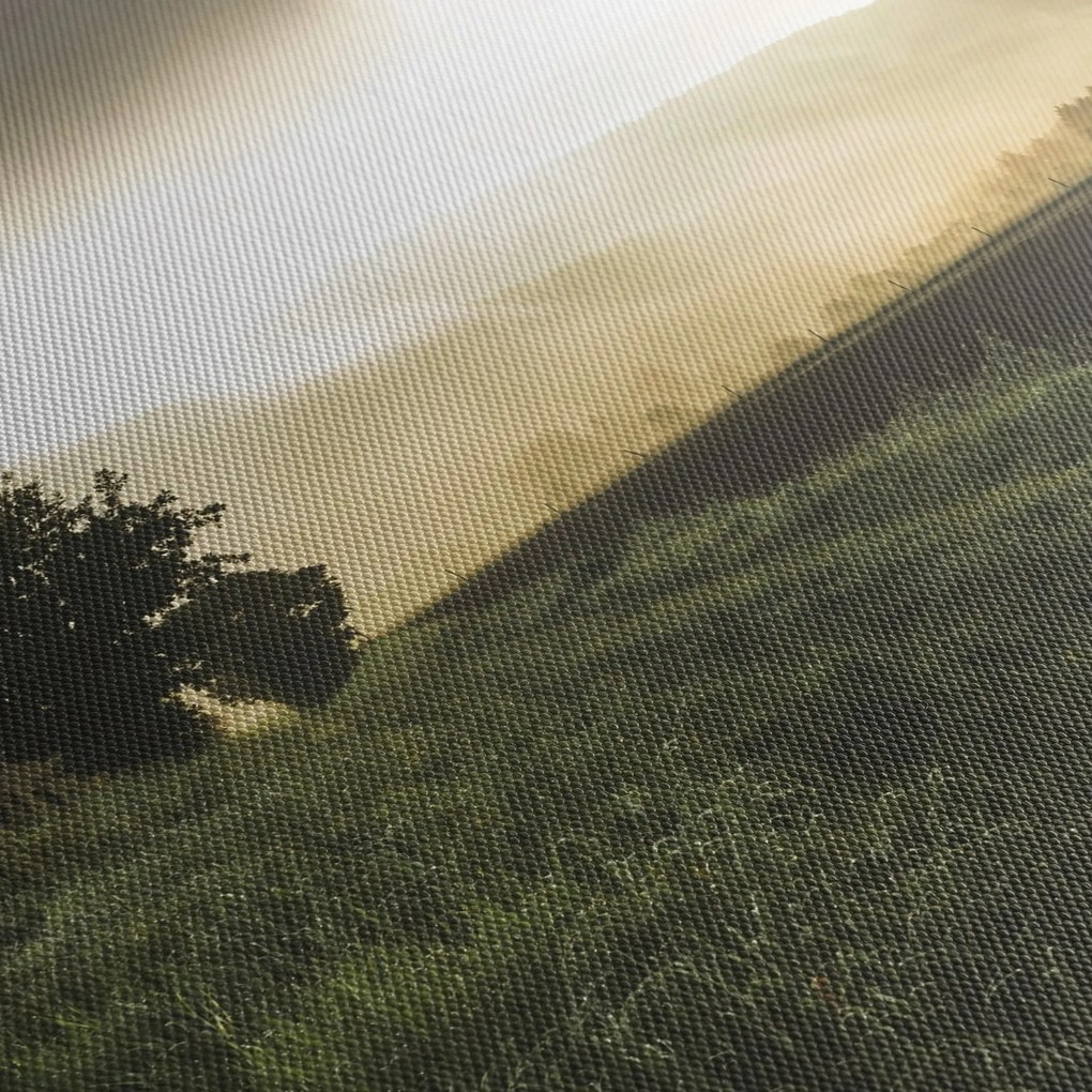 Obraz lúky (120x50 cm)