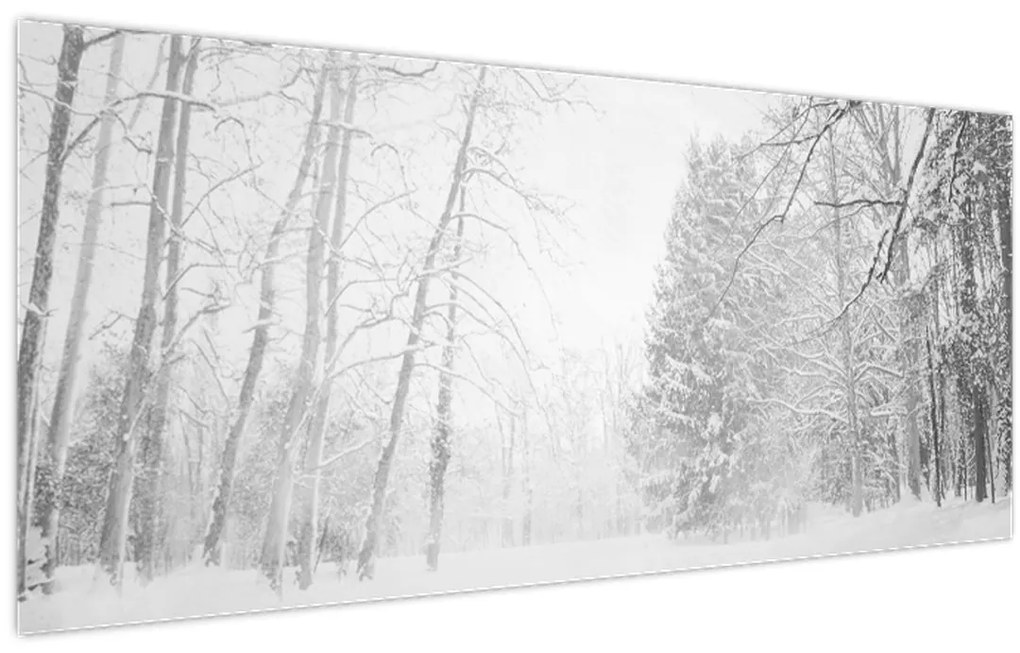 Obraz - Drevené mólo v zime (120x50 cm)