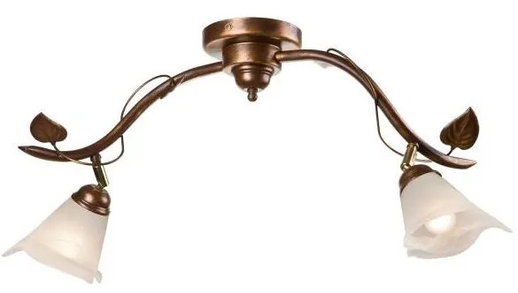 Bodové svietidlo IVY 2xE14/40W/230V