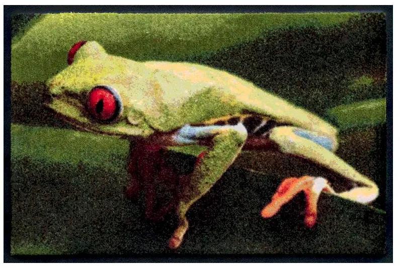 Premium rohožka- zvieratá- žaba (Vyberte veľkosť: 85*55 cm)