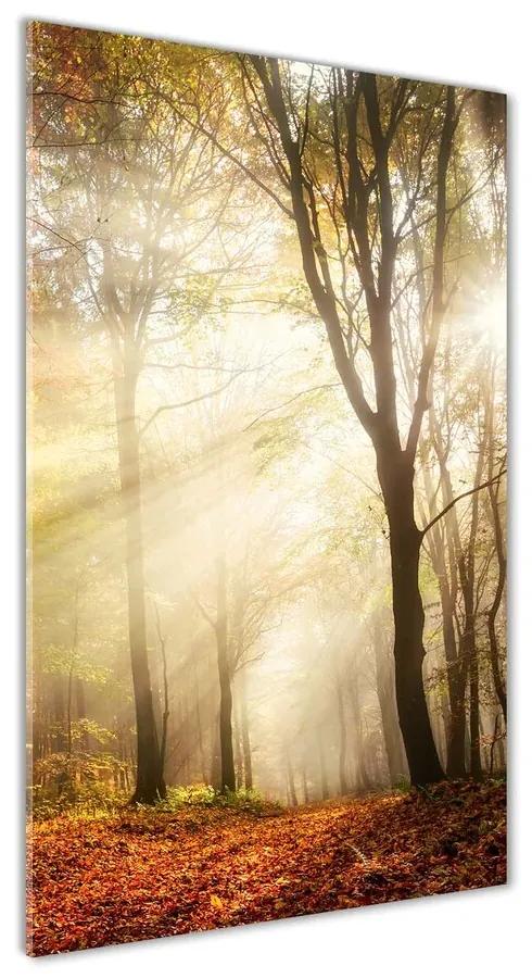 Moderný akrylový fotoobraz Les na jeseň pl-oa-70x140-f-120624836
