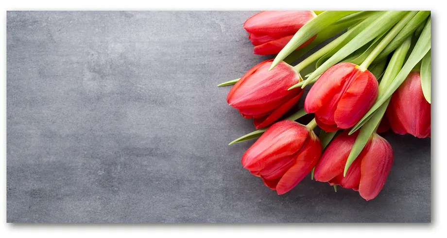 Foto obraz akrylové sklo Červené tulipány pl-oa-140x70-f-99719823