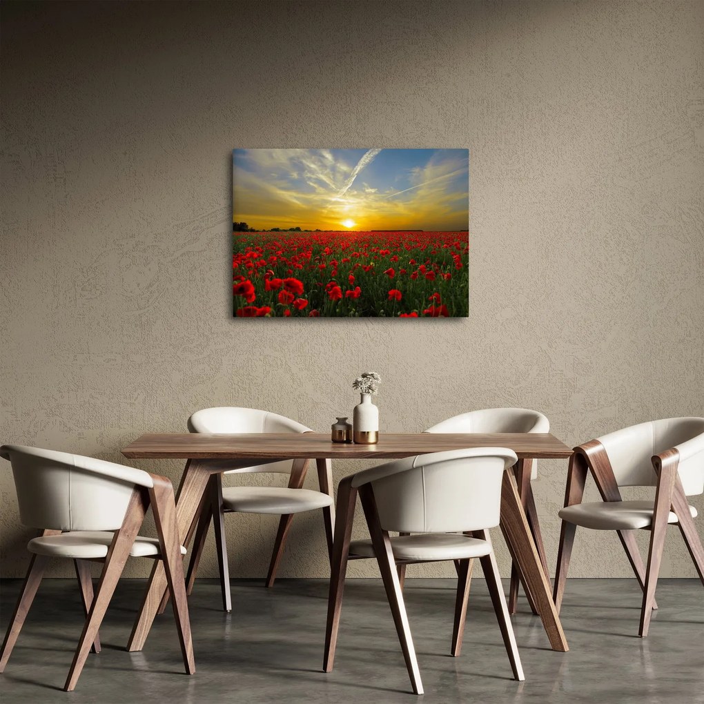 braz poľa vlčích makov (70x50 cm)