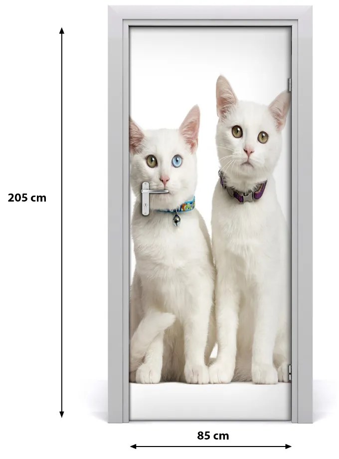 Samolepiace fototapety na dvere Dve biele mačky 85x205 cm
