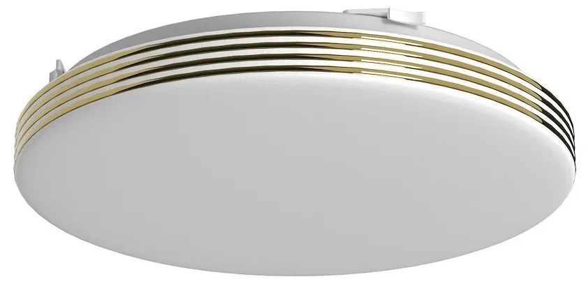 Stropné LED svietidlo Bever, 1x LED 10w, 4000k, g
