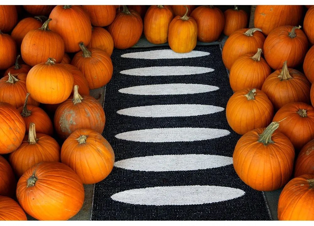 Čierny vnútorný a vonkajší behúň 70x150 cm Ella Black – Pappelina