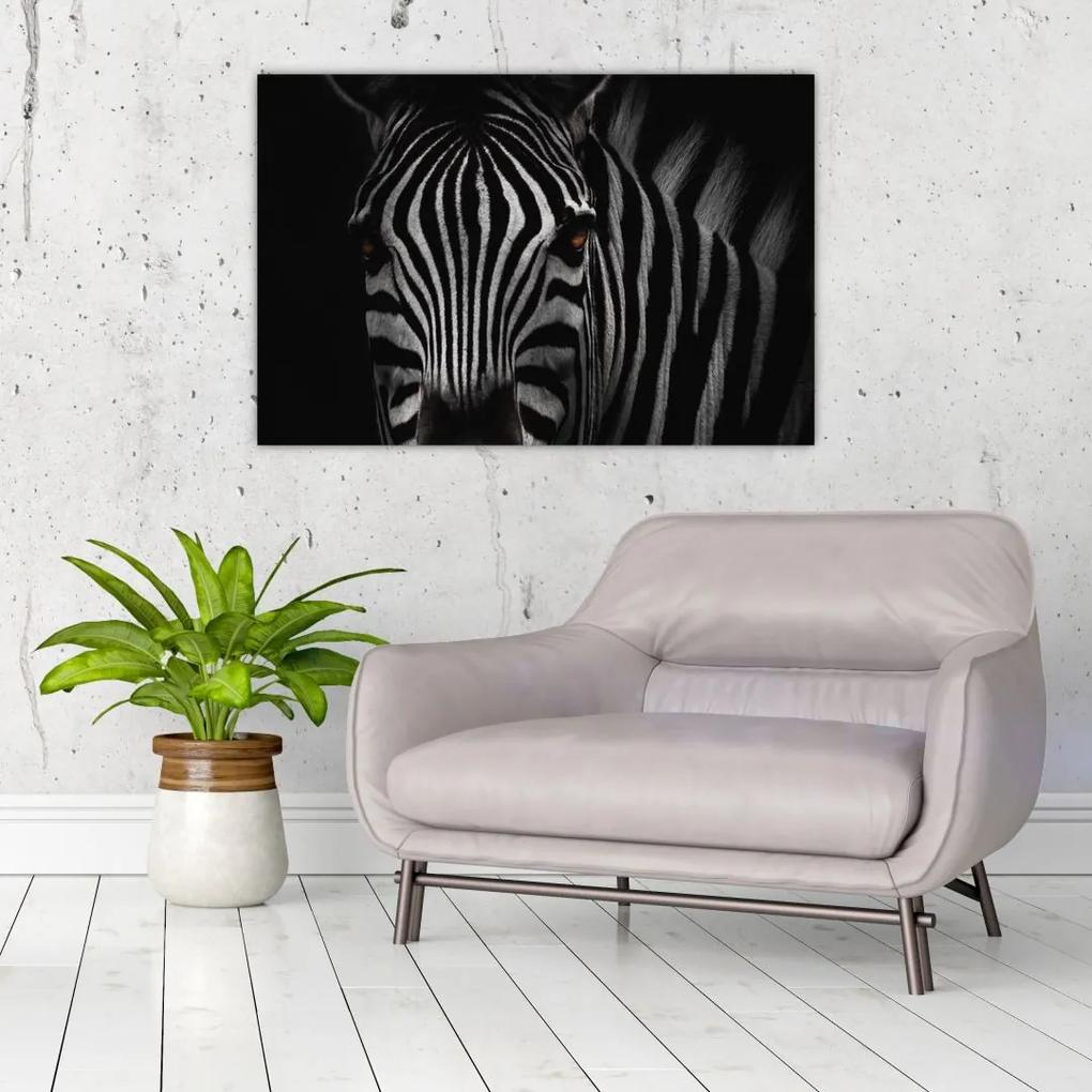 Obraz zebry (90x60 cm)