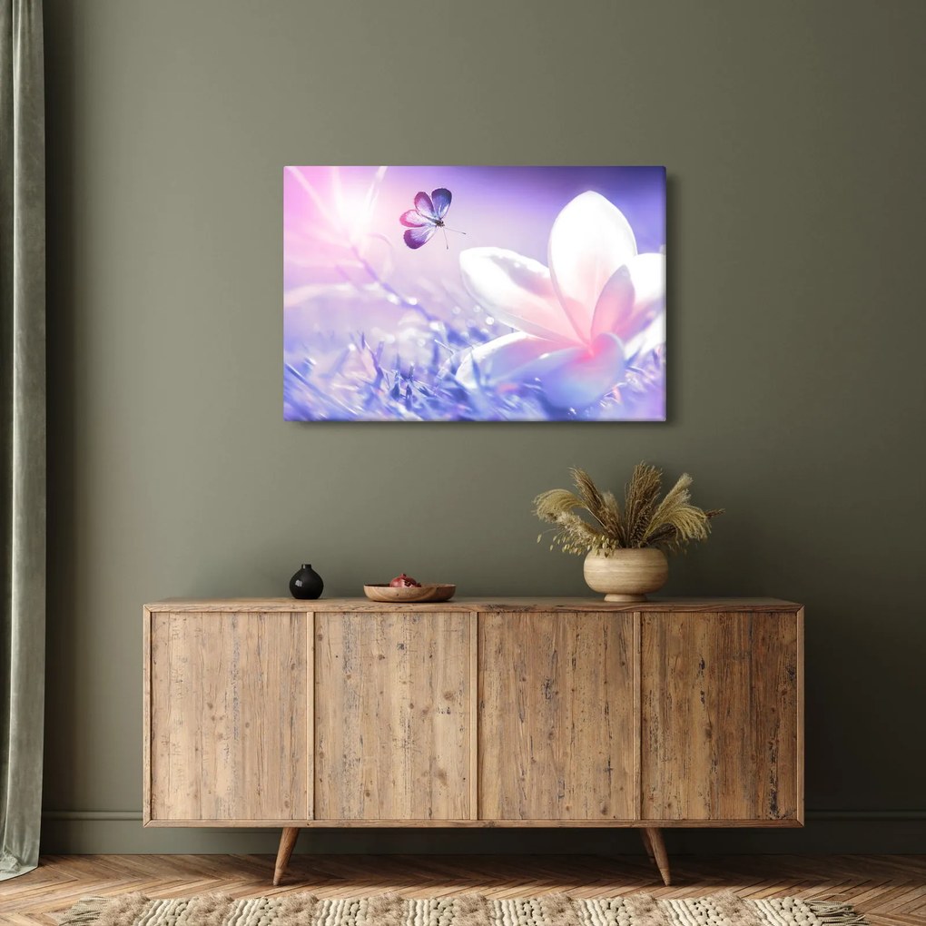 Obraz - Motýľ prilietajúci na kvet (90x60 cm)