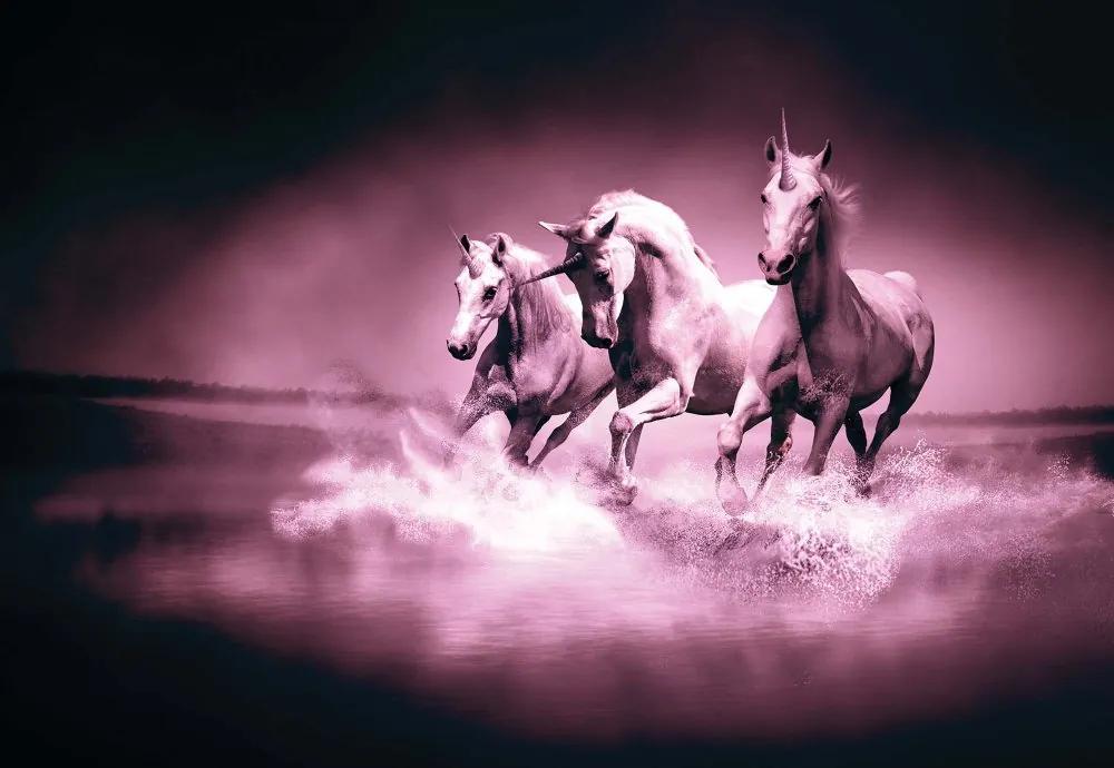 GLIX Fototapeta na dvere - Unicorns Horses Pink