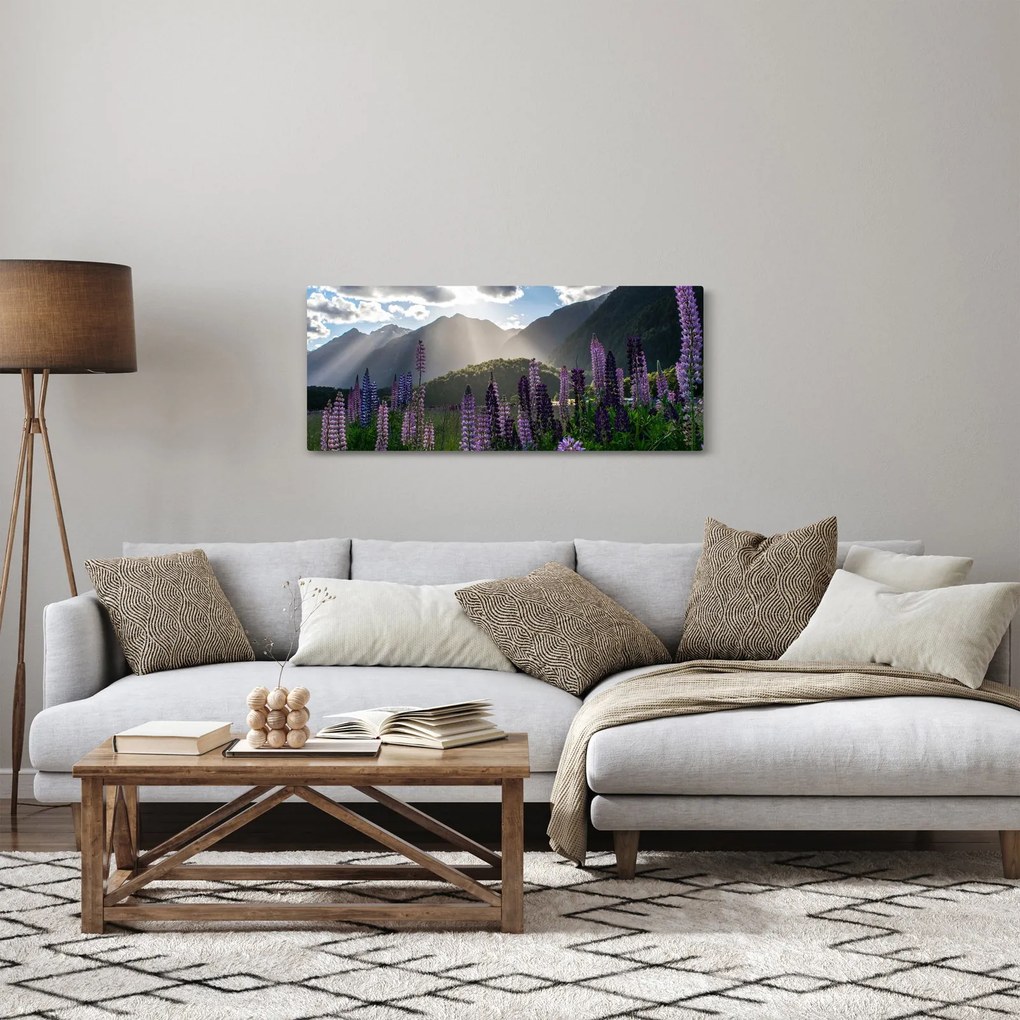 Obraz - Scenérie vlčích bôbov (120x50 cm)