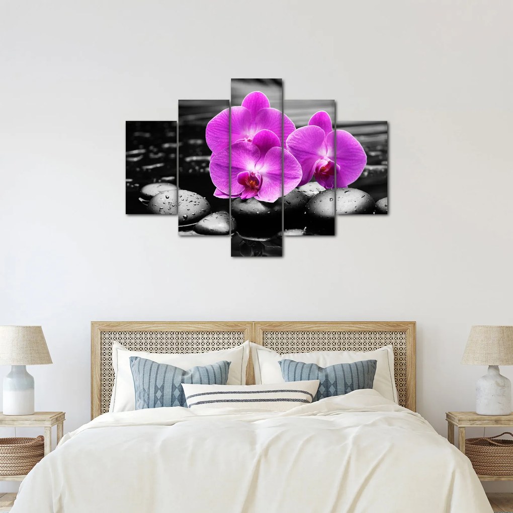 Obraz - Fialové orchidey (150x105 cm)