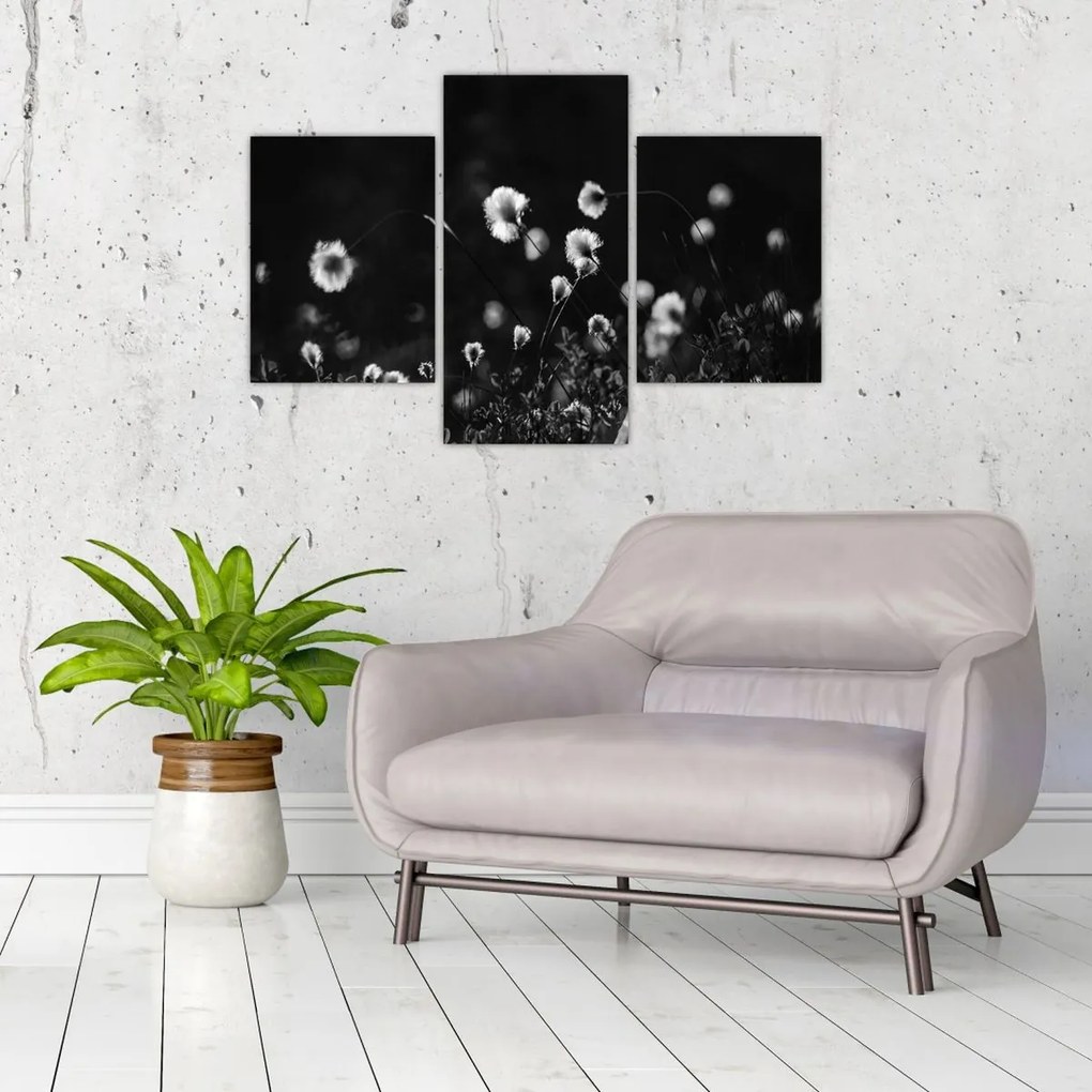 Obraz - Lúka s cottongrass N⁰1 (90x60 cm)
