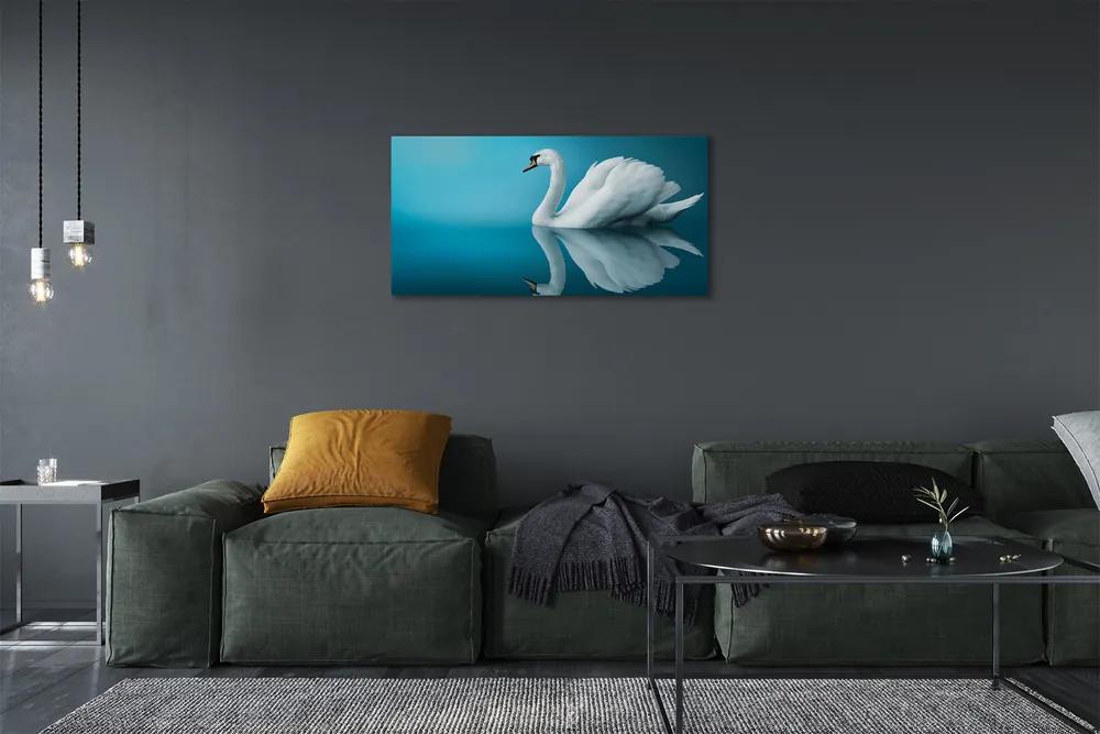 Obraz na plátne Swan vo vode 120x60 cm