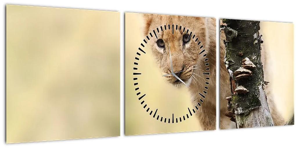 Obraz levíčaťa (s hodinami) (90x30 cm)