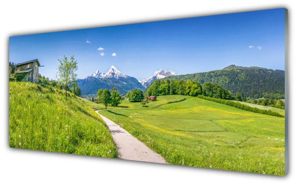 Obraz plexi Hory lúka chodník údolí 125x50 cm