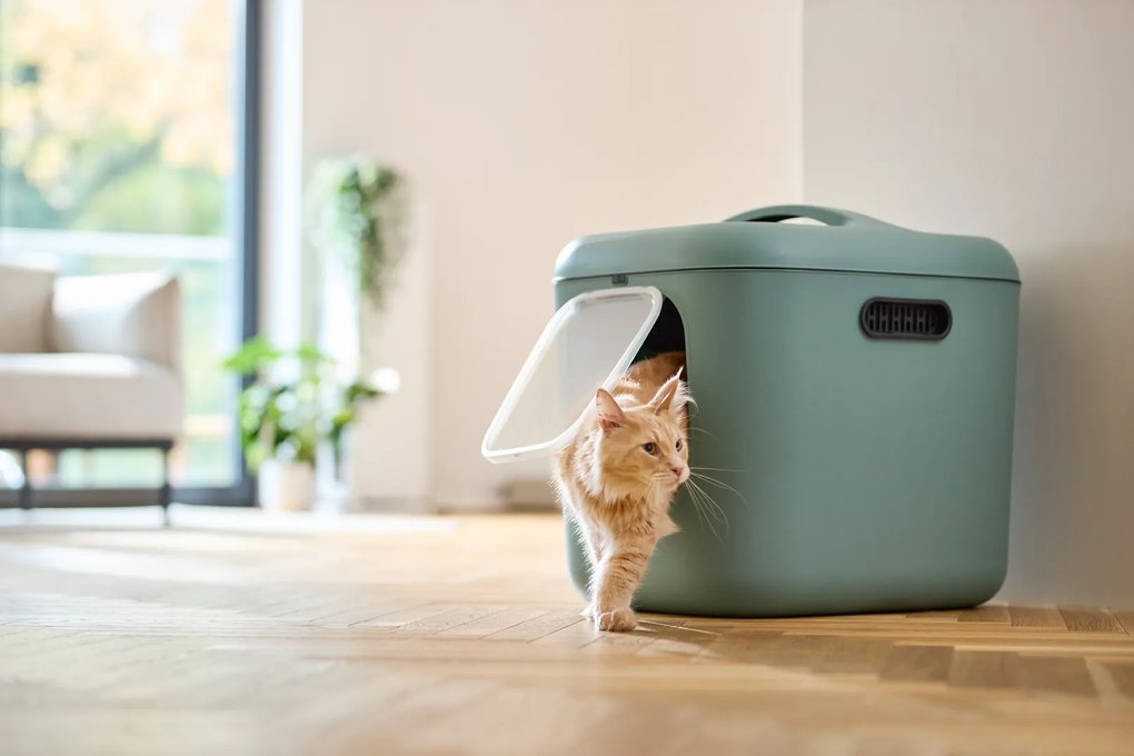 Rotho Mačacia toaleta, krytý záchod pre mačky CAT XXL - zelená