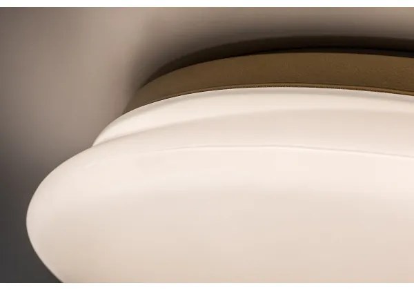 Rabalux 75053 - LED kúpeľňové stropné svietidlo CALIOPE LED/24W/230V IP44 pr. 41 cm