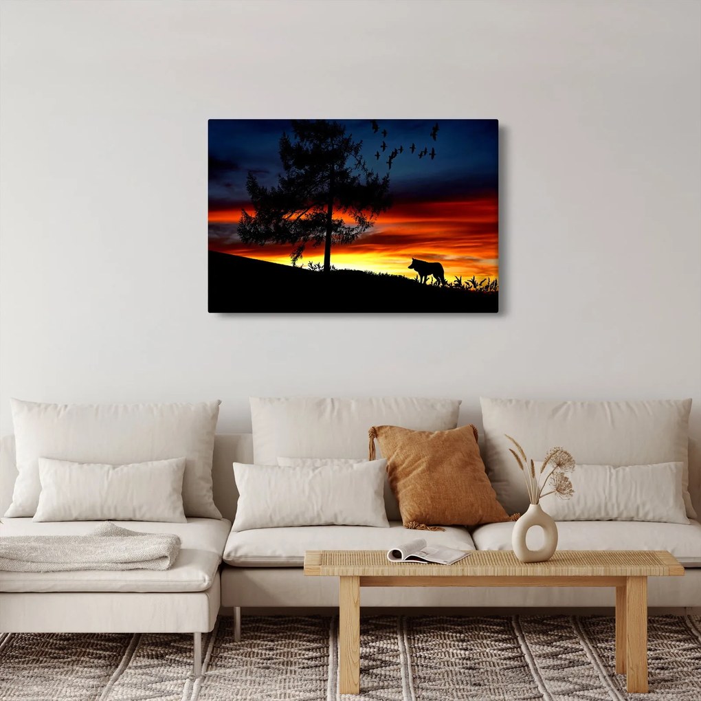 Obraz - Silueta vlka (90x60 cm)