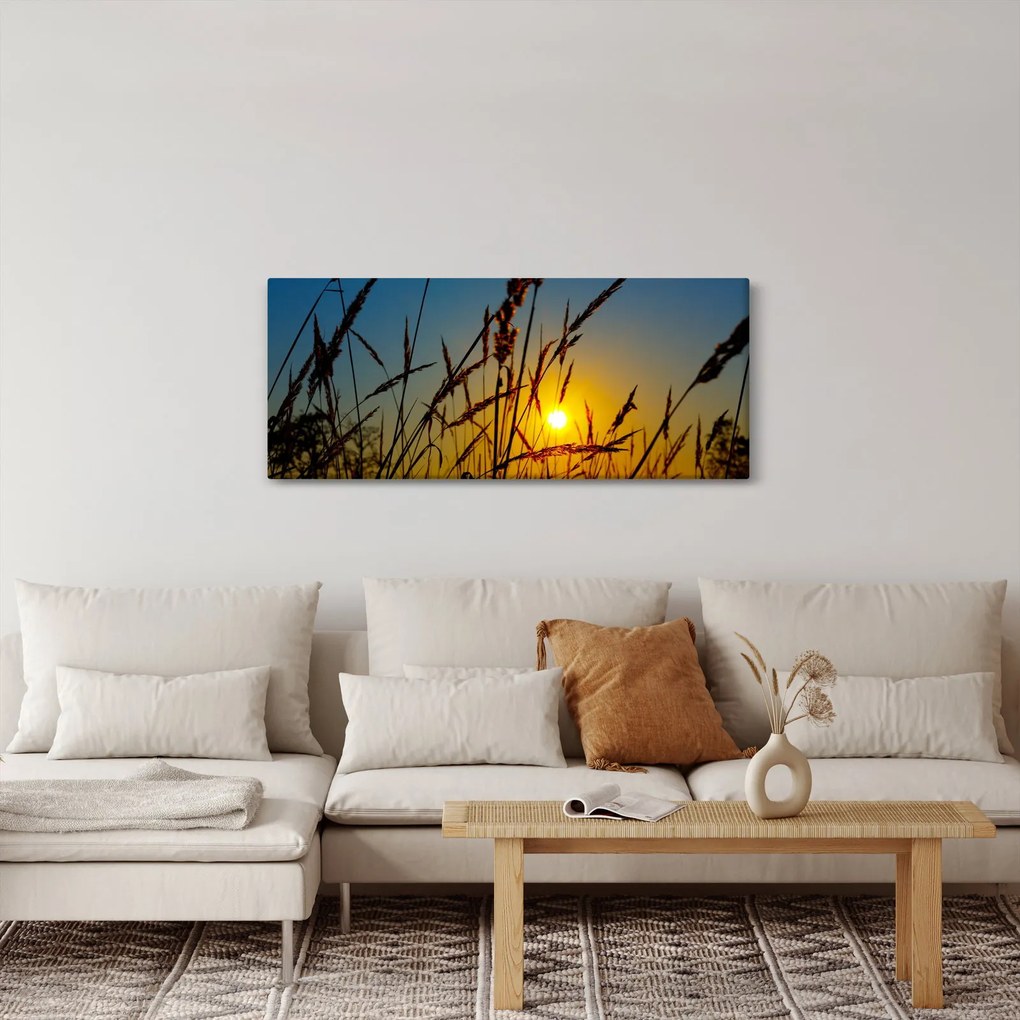 Obraz - Západ slnka v lúke (120x50 cm)